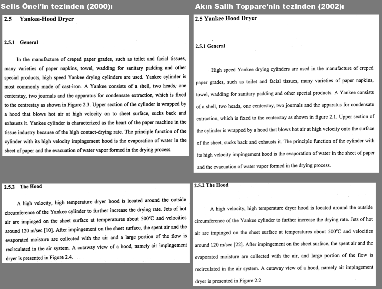 Thesis assessment report